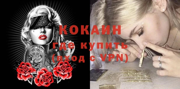 индика Бугульма