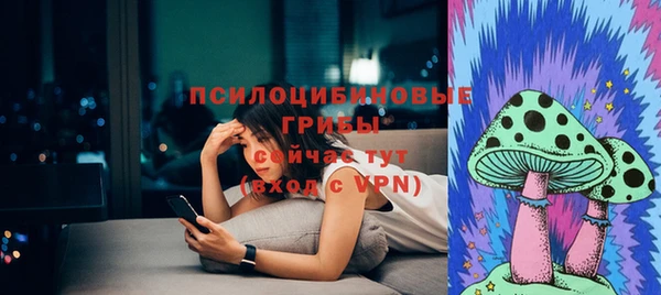 мяу мяу мука Рославль