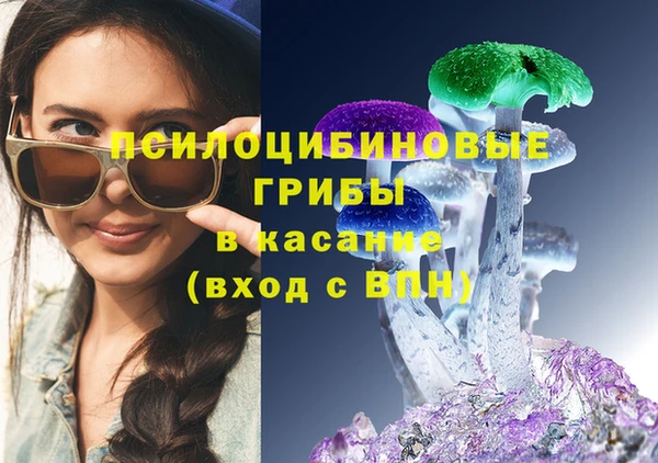 а пвп мука Козловка