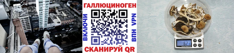 Псилоцибиновые грибы прущие грибы кракен как зайти Усинск цена
