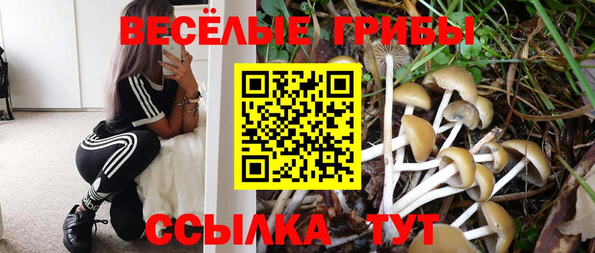 Усинск  Псилоцибиновые грибы прущие грибы  Вход с VPN 