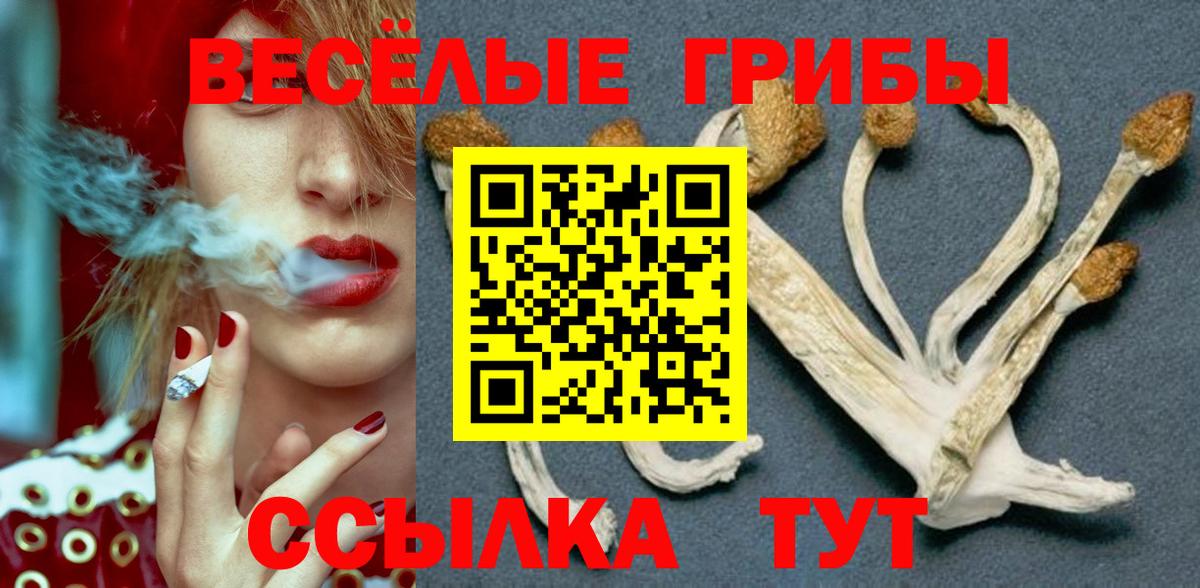 Псилоцибиновые грибы Cubensis Усинск