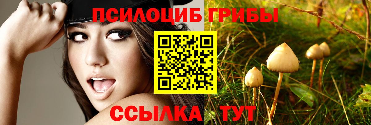 Галлюциногенные грибы Усинск